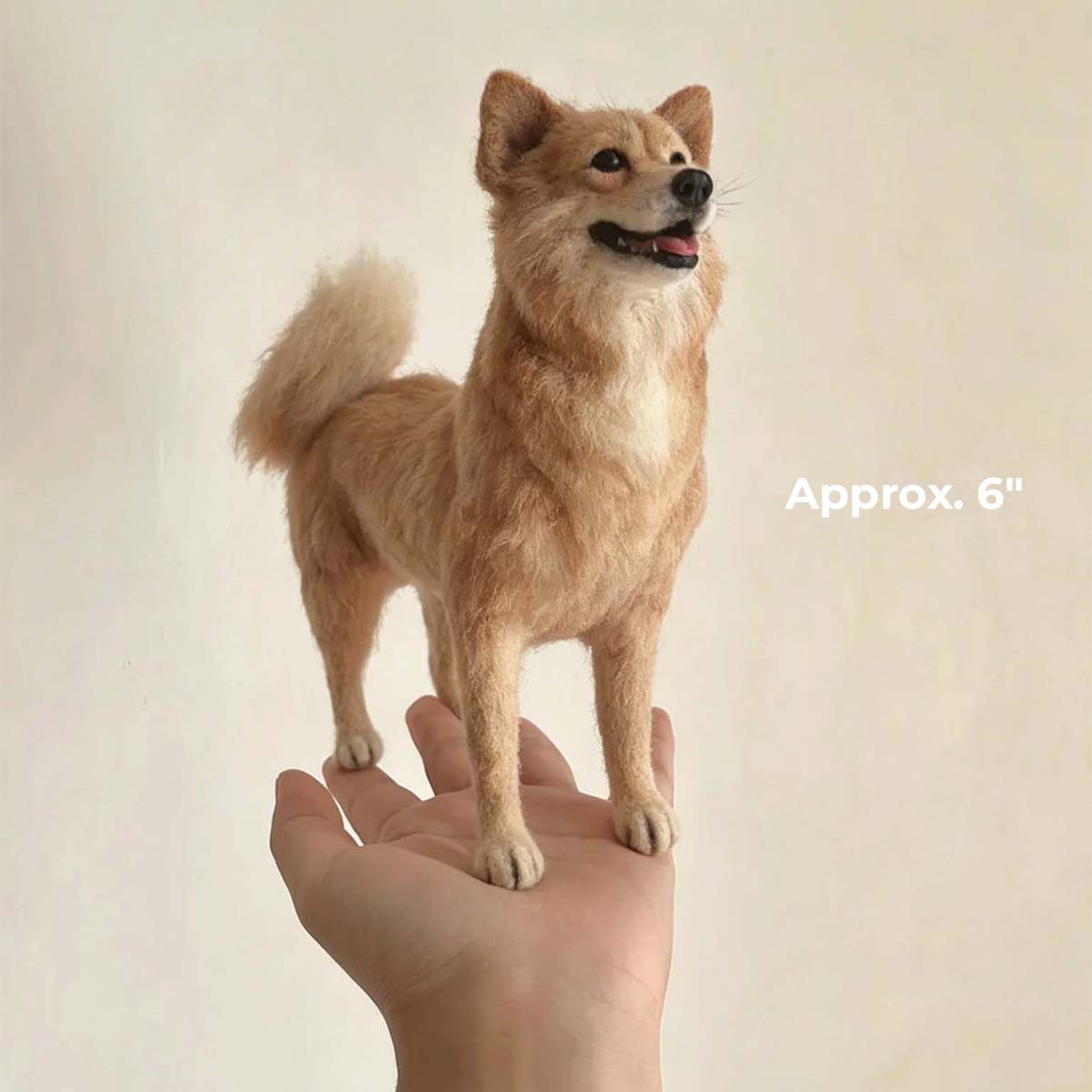 6" Standard