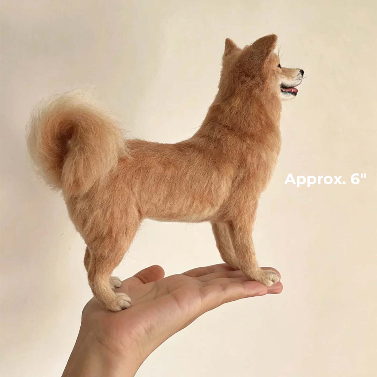 6" Standard