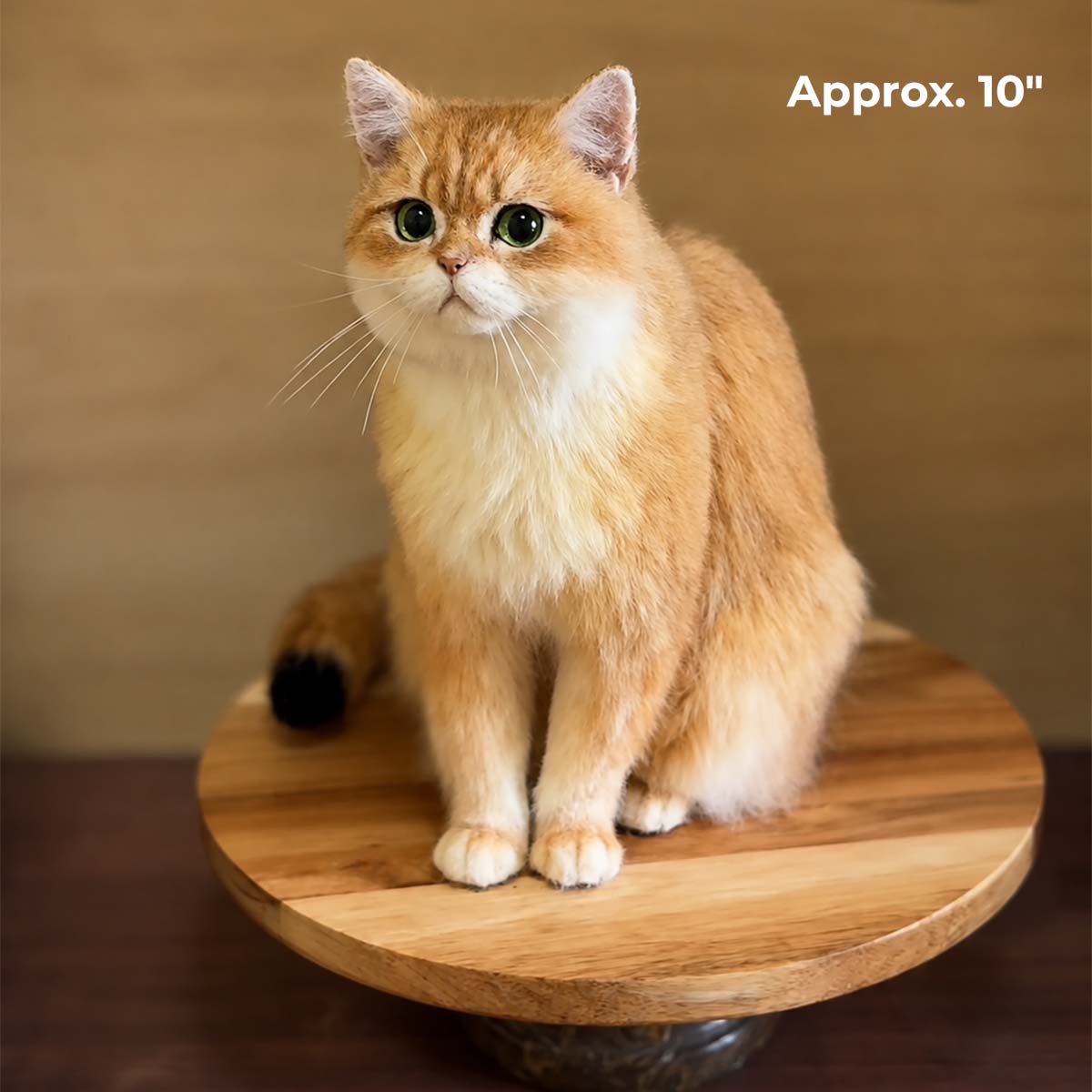10" Deluxe