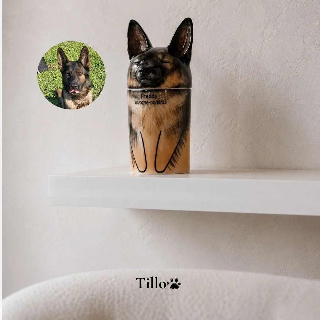 Custom Hand-Painted Pet Cremation Urn
