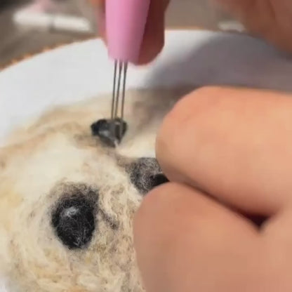 Needle Felted Pet Portrait Frame