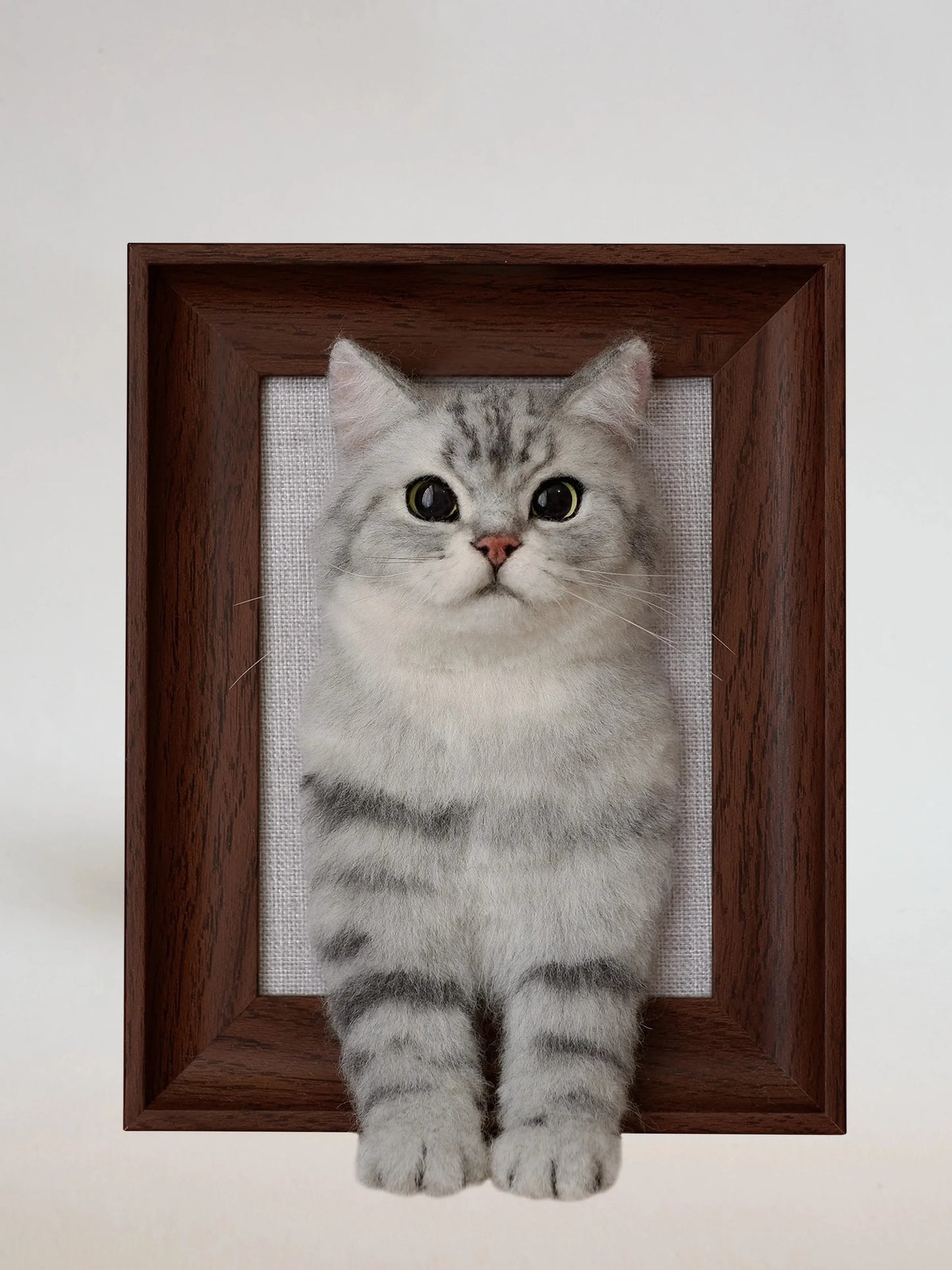 Custom Stuffed Animal Clones with Wooden Frame