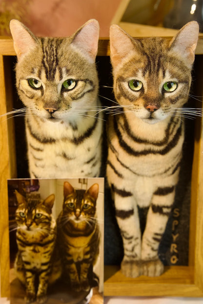Custom Stuffed Animal Clones with Wooden Frame