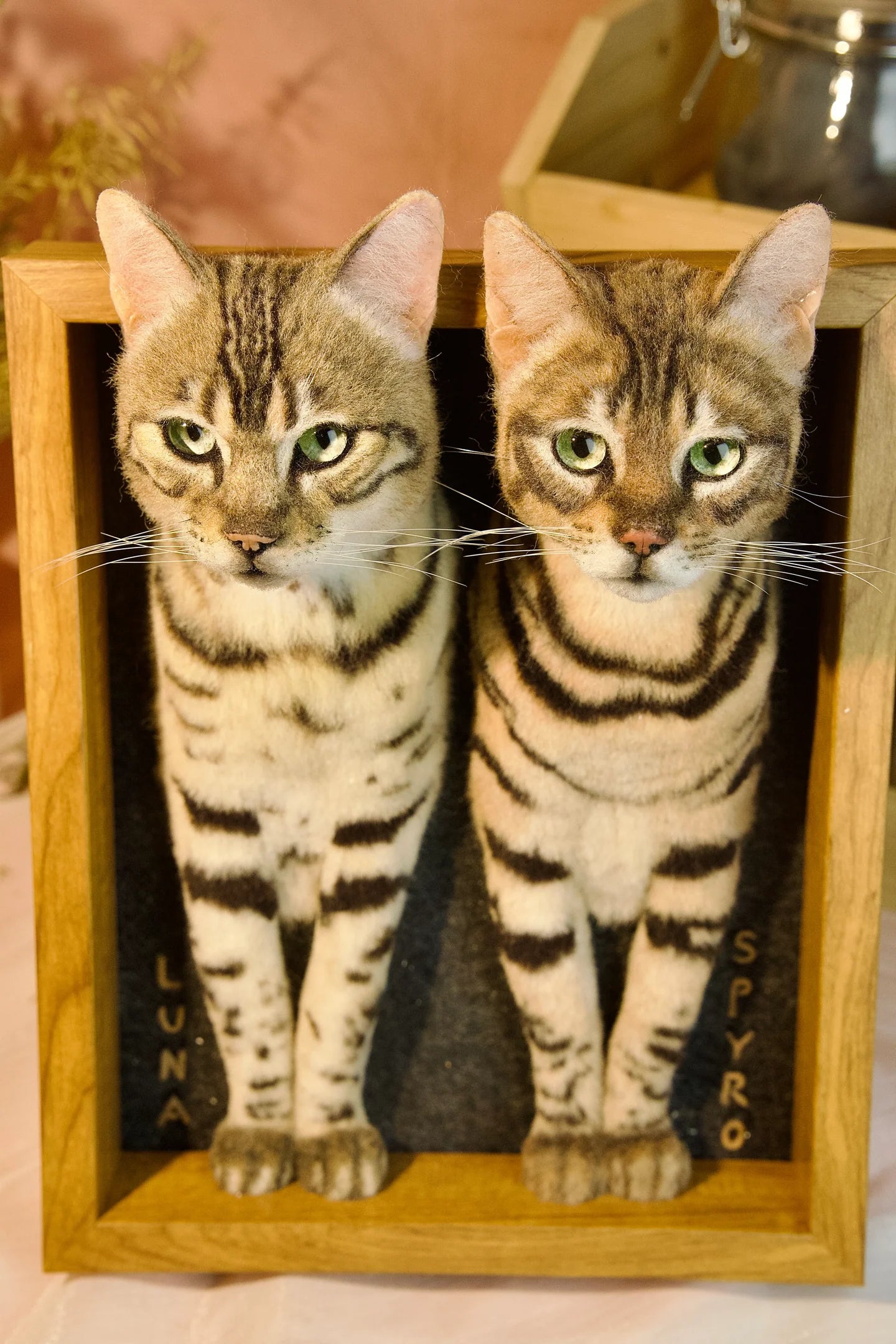 Custom Stuffed Animal Clones with Wooden Frame