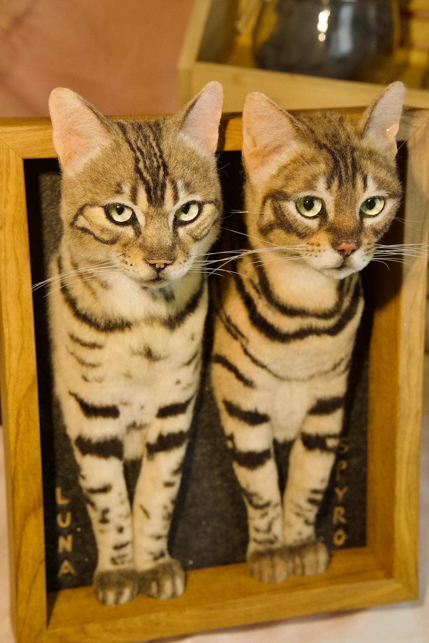 Custom Stuffed Animal Clones with Wooden Frame
